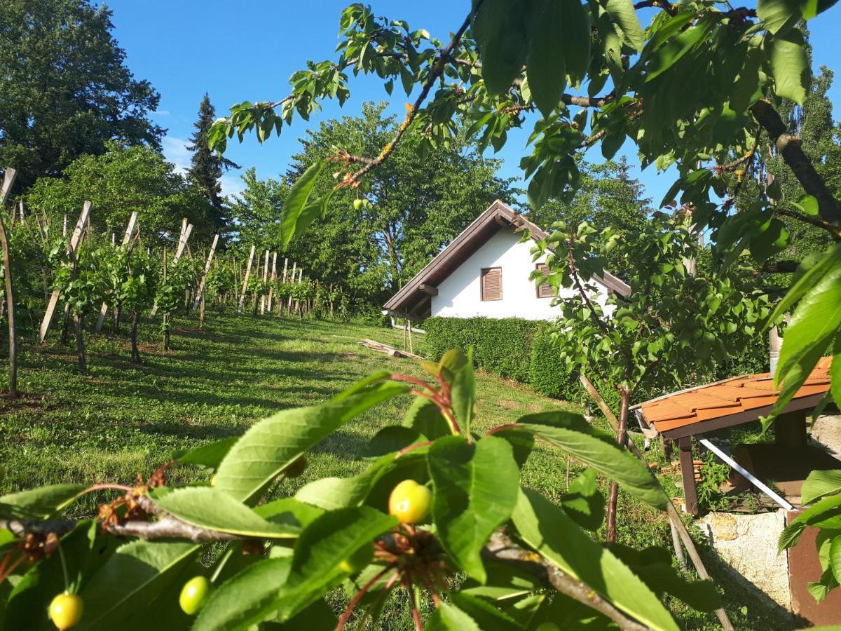 Apartamento Cesargradska Klet Tuhelj Exterior foto