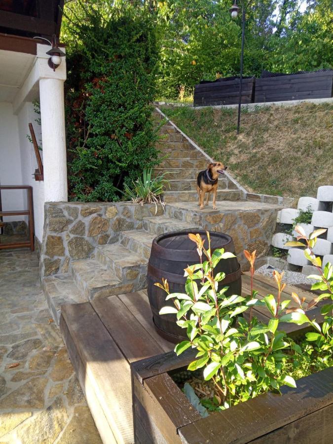 Apartamento Cesargradska Klet Tuhelj Exterior foto